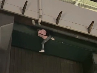 【驚愕】駅を素手でよじ登るスパイダーマン、見つかるｗｗｗ