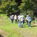 (7/10)食のみやこ 山野草ガイド