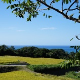 『一問一答(木野本)』の画像