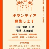 『【土・日曜日&祝日】お世話ボランティアさん大募集』の画像