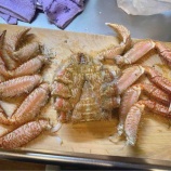 『毛ガニの剥き方（東京のOLの素人バージョン）』の画像