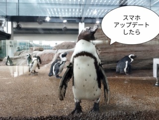 田舎の道は暗い