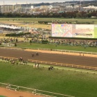 『青葉賞2022　予想見解』の画像