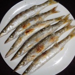 耽溺、マサ青木の美食とクルマ