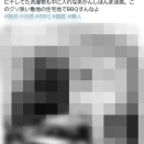 【悲報】自宅の庭でBBQしてた家族、ブチギレた近隣住民に晒されるｗｗｗｗ