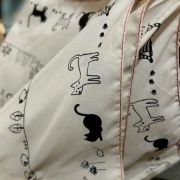 3匹を連れて獣医さんから帰る時に天気が急変