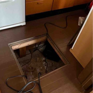 ねこさま王国