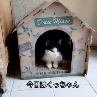 ソワレが要らないフランス暮らし