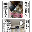黒猫黒美ちゃん 幸せ報告！