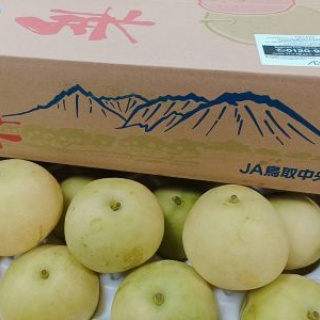 不登校365日24時間　フリースクール元気学園 ブログ