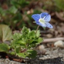 春がはじまりました