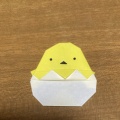 ゆきちゃん元気です‼️