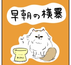 早朝の横暴🐱