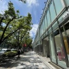 【日本帰省５日目】朝の表参道で美容院とカフェ・昼の丸の内でランチとお喋り！
