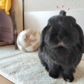 どうぞ ごゆっくり ♪