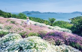 花畑のある島　９