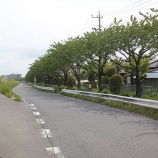 『カーブミラーを取り付けました』の画像