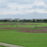 『水たまりは解消しましたが、またも雨の予報が』の画像