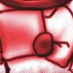 水筒による水分補給で被害が出た原因