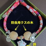 にゃんこ三昧な生活