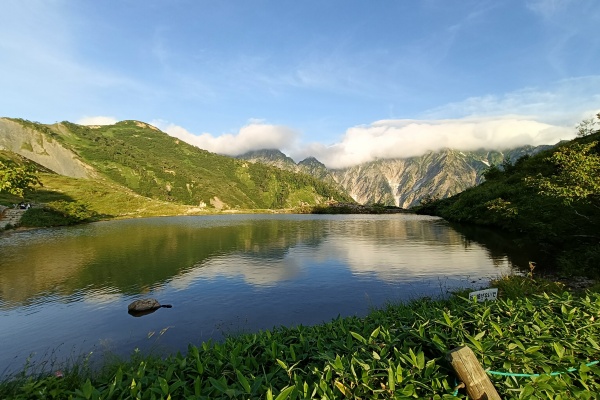 ローブローナックル　レザージャケット シングル　ライダース　MOTO 本池秀夫 ローブローナックル レザージャケット シングル ライダース MOTO