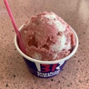 サーティーワンのストロベリースペシャルタイム　春の花たちと春霞の伊吹山