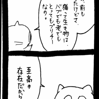 赤ちゃん自認ねこ11