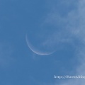 ２０２６年旧暦０８月の月