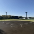 夏の高校野球も開幕が近づいています　高校球児の治療は当院で