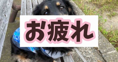 会議終了。明日もう一つ。