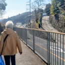 水260219  市原ウォーキング