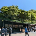 福岡／太宰府天満宮・寺田屋（梅ヶ枝餅）福岡県太宰府市