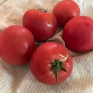 【夏に美味しいもの】そろそろ頂けるかな？といつも期待して待っているものはお互いさまで♪
