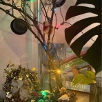 ジングルベルの鈴が鳴る♪