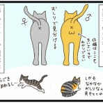 猫の手貸して