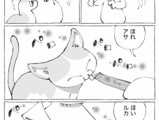 うちの犬のルカ。【９３】