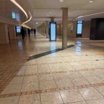 ぽぽちゃんのどりーむずかむとぅるー♪