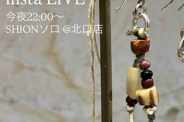 STUDIO T&Y ピアス STUDIO T&Y - Feather Droop Pierced Earing Left (SILVER