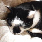 酒とロックな日常