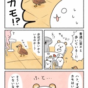 ディ〇ニーにカラスがいない理由？