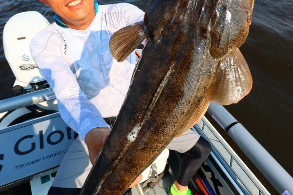 大物釣りページ TOKYOBAY FISHING GUIDE SERVICE Glory(グローリーフィッシング)