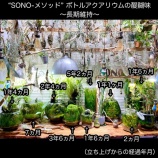 『長期維持ボトル を讃えよう 〜ボトルアクアリウム長期維持の世界〜』の画像