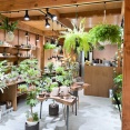 水無瀬駅ちかくに「アトリエRatel」って建築設計事務所と植物販売のお店ができてる