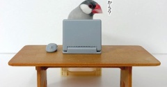 本日のネットスーパー