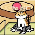 猫的下僕生活
