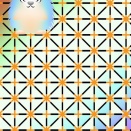 小鳥の背後の模様は？