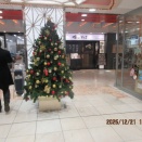 銀座：日比谷公園：テニス（その２）