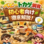 レオパパの爬虫類ログ
