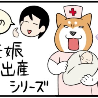 柴犬どんぐり三毛猫たんぽぽ