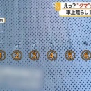 「熊に高級車を荒らされた！」と保険金請求→爪痕が6本爪で嘘がバレるｗｗｗｗｗｗｗｗｗｗｗ